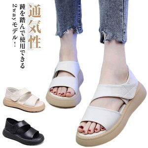 yyVX[p[SALEIziz T_ RtH[gT_ fB[X 2way ₷ Ȃ AEghA Xb| r y ʋC