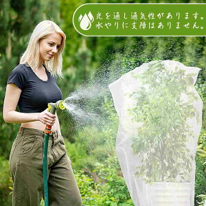 В AیJo[ hlbg hlbg bV ؍͔| |plbg  ƒ؉ ʎp