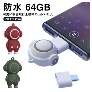 USB 64GB Fsm͗l OtUSB type-c tbVhCu AndroidΉ h 