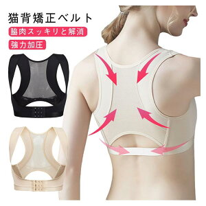 w؋xg Lw pT|[^[  bV Ci[ ėp ڗȂ ͉ eɂȂ