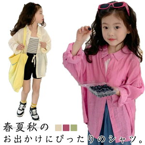 yyVX[p[SALEIziz LbY VA[Vc  ̎q    AE^[ HD UV΍ 悯 JWA