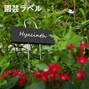 | l[v[g ΂̔ K[fjO Ԓd ƒ؉ n[u Ax  5