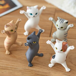 w w Z yX^h Y Mtg y  ItBX LbY q L  a w 炩 AE 킢 fB[X