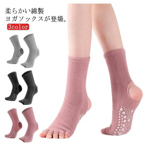 yyVX[p[SALEIziz K\bNX 5{w ܐȂ ~ KEFA K