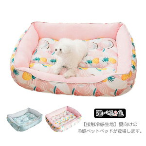 ėpybgxbh  ϊ p}bg ^^p Ђf 􂦂 50x40cm