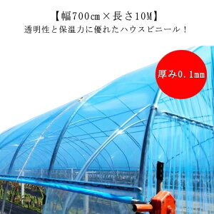 yyVX[p[SALEIziz _Ɨprj[ rj[nEX 0.1mm 700cm 10m pnEXrj[ _ |p ƒ؉ ͔|  rj[V[g