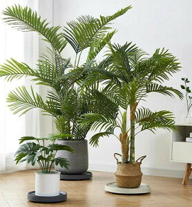 Aؔ tړԑ  t[X^h v^[pM 360°]LX^[ |bN ϗtA pr9TCY