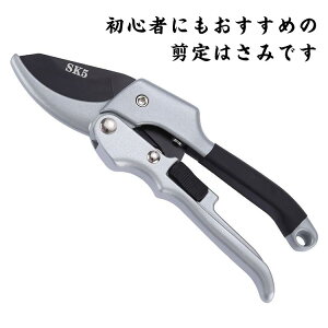 ͂ K[fjO͂  ؂ꖡs yʐ݌v bN@\ Trh~ |pi ƒ؉ ~͎