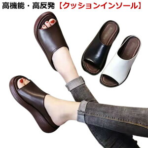 u[c V[g EFbW\[ yʐ݌v fB[X JWAV[Y tďHΉ