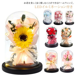 u[P \[vt[ ԑ h[^ J[l[V V{t[ o Ǝ w ̓ Ђ܂ LEDC~l[Vt Mtg