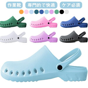 yubNtCf[bP5{N[|b11/27܂Łz ×pV[Y pp h y T{^ ʋCbV ܐی jp ƌC p