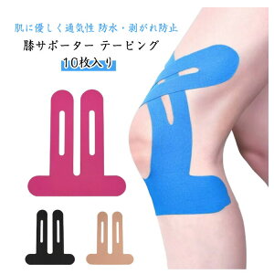 GT|[^[ 10Zbg e[sOe[v S͋ h Lk X|[c oR ؃g GNTTCY ubN sN F