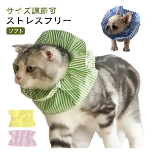 _炩 t \tg GUxXJ[ ی  lR p z ybgp pPA ߉\ rߖh~ y qL