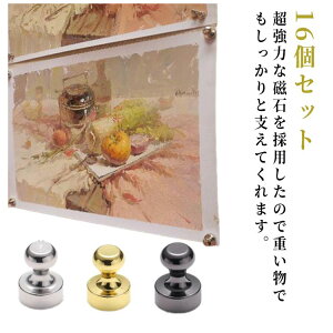 yubNtCf[bP5{N[|b11/27܂Łz }OlbgtbN  16Zbg  e 12×16mm Lb`   O KтȂ ubN S[h Vo[