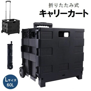 L[J[g  LTCY 60L ܂肽 Rei^ AEghA Lv W[ s  [