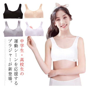 X|[cu n[tgbv K[Y WjA u w w  _炩 C[Ȃ ʋC K tBbg