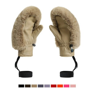 O[u  Xm[{[h fB[X ۉ {Af h ʋC nfUC