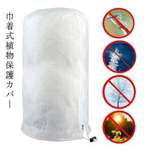 В AیJo[ h΍ sDz h h ~p O ؍͔| h ϗtA |pi