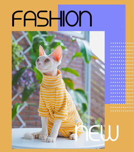 L   _炩 XgCv LbgEGA Z[^[ p[J[ tďH єL EȒP AEghA ybg