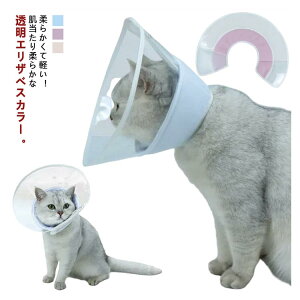 GUxXJ[  L \tg^Cv  }WbNe[v y ybgی ܐ؂ _炩 ی ^ qL pKi ~h~ ی XgXy