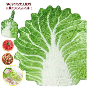 t[X ؂ V Xqt H~ oYj LOBe P[v uPbg xr[Q