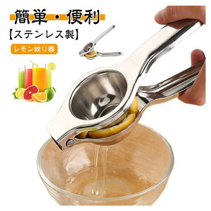 IWW[T[ XeX nhW[T[ i ʏ`i 蓮 ƒp Lb`pi