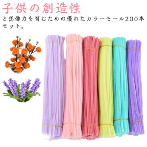 |[ 200{Zbg J[[ [A[g `ޗ H m  DIY NX}X p[eB[ ~j`AAj}