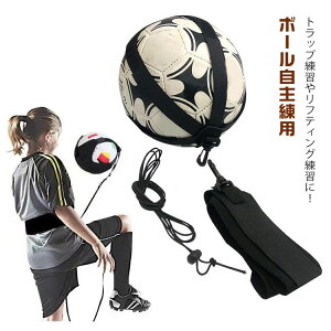 TbJ[g[i[ K 2g {[gbv V[gpX teBO p ߉\ lqp