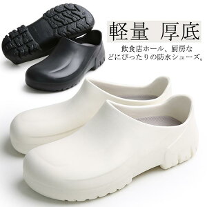 Y RbNV[Y  fB[X Lb`V[Y ~[ y [NV[Y h Xb| ɂ ƌC R hL