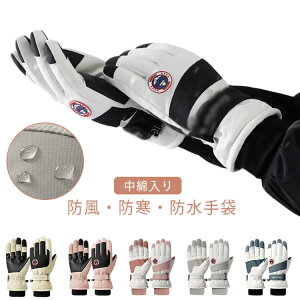 Xm[{[hO[u Y fB[X h h X}zΉ EB^[X|[c ~ Sh ȓ oCNO[u