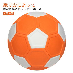 LbJ[{[ 5 TbJ[ 4 y TbJ[{[ wp Kp w WjA q Ȃ ω V[gK av[g