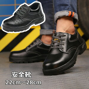 SC Y fB[X ƌC |c Bݔh~ Z[teB[V[Y ɂ ~ ʋC Xj[J[ nCJbg _ h X|[cV[Y [Jbg jp