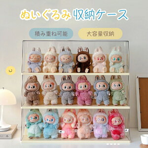 ʂݗp [P[X uu V[P[X  NA یP[X ho AjObY P[X DIYl`W{bNX