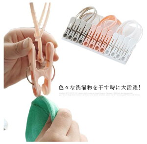 s`qt ΂ 24 ~ߐ݌v ƗpNbv