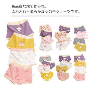 �_���������労�ӍՃZ�[�����{���I�^ ���̎q �{�N�T�[�p���c 4���g �_�炩 �ʋC�� ���K �X�g���b�` �T���T�� �C���i�[ ���� ���� �u���[�t ���킢�� �L�b�Y �K�[���Y �W���j�A �c�� ���w��