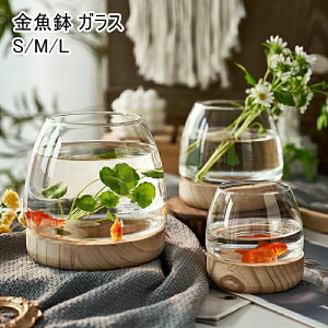 �_���������労�ӍՃZ�[�����{���I�^ �K���X�� ������ �ی^ ���� ���_�J����e�� �ϗt�A�� �C���e���A �e�[�u���A�N�A���E�� �����{�E�� ���k�͔| �������ȏ��^����