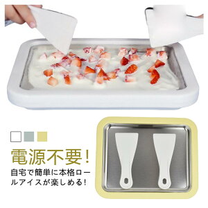 �_���������労�ӍՃZ�[�����{���I�^ ���[���A�C�X���[�J�[ �蓮�����X�� �W�F���[�g �V���[�x�b�g �z�[���p�[�e�B�[ �ƒ�p �A�C�X�v���[�g 2�{�w���t