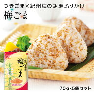 【紀州産の梅を贅沢に使用！絶品ふりかけ！】 70g×5袋セット オニザキ 梅ごま 鬼崎 おにざき ごま 胡麻 …