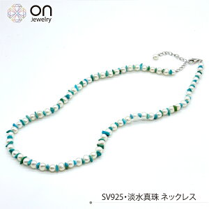 SV925 W^ ^[RCY 50cm lbNX 6a 12a { 5cmAWX^[`F[