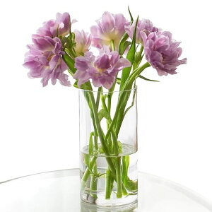 WillingYou �ԕr ����Ȃ� ������ �t�����[�x�[�X �y�n�k�΍�E�q��/�y�b�g�Ɉ��S�z �K���X�̂悤�ȓ����� ������� ���k�͔| ��֑}�� ���d ���� �I�t�B�X �C���e���A (10cmx30cm)