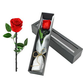 Bacucine プリザーブドフラワー バラ 赤 お祝い 一輪 薔薇 ケース 枯れない花 プロポーズ 誕生日 記念日 結婚 花束 花材 プレゼント バレンタインデー フラワーアレンジメント 退職 フラワー…