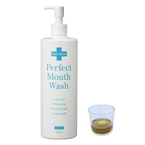 󂠂著 p[tFNg}EXEHbV 500mL