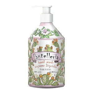 Rudy fB }Jr[eB[ nhEHbV 500mL peb[A