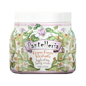 Rudy fB }Jr[eB[ {fBN[ 450mL pebA