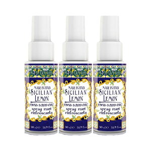 3個セット Rudy ルディ ル・マヨルカ Fresh Hand Mist 50mL シチリアンレモン ハンド&マスクミスト