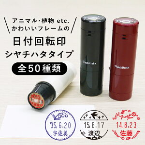 V`n^ t t] 킢 CXg f[^[l[EX15 CXgp^[2iLbv 15.5mm ʒij] sv f[^l[ l[ ͂ ʐi Mtg v
