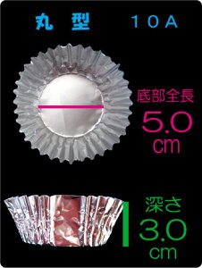 ƖpA~P[X ی^ 10A  i500j ٓp A~Jbv