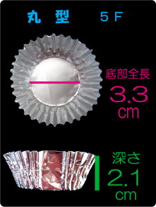 ƖpA~P[X ی^ 5F  i500j ٓp A~Jbv