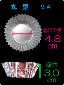 ƖpA~P[X ی^ 9A  i500j ٓp A~Jbv