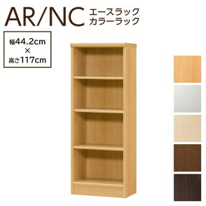 [撅30l15OFFN[|zz`11/27 1:59] m J[bN 45cm 120cm { I[vbN {I I ؐ [ J[{bNX VFtBbg AR1245 NC1245 ARNC1245